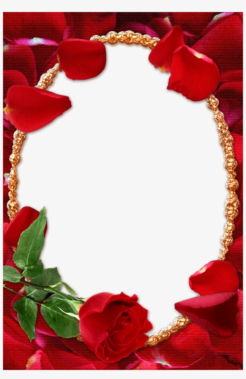Rose Photo Frame Png, transparent png #1355641
