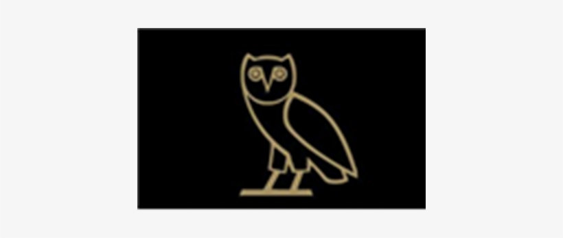 Ovo Owl Png Graphic Free Download - Xxxtentation Backgrounds, transparent png #1355788