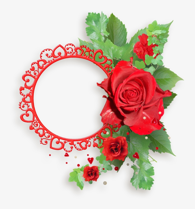 Red Roses Frames - Transparent Red Rose Png Frame, transparent png #1356601