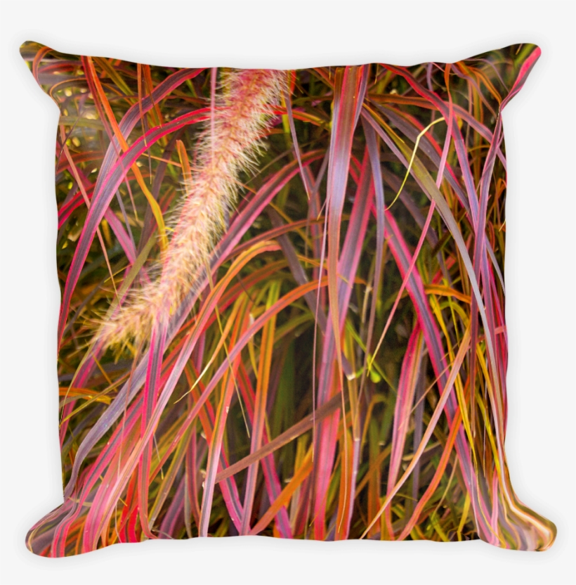 Lankershim Village Fountain Grass Square Pillow - Fountain Grass, transparent png #1356826