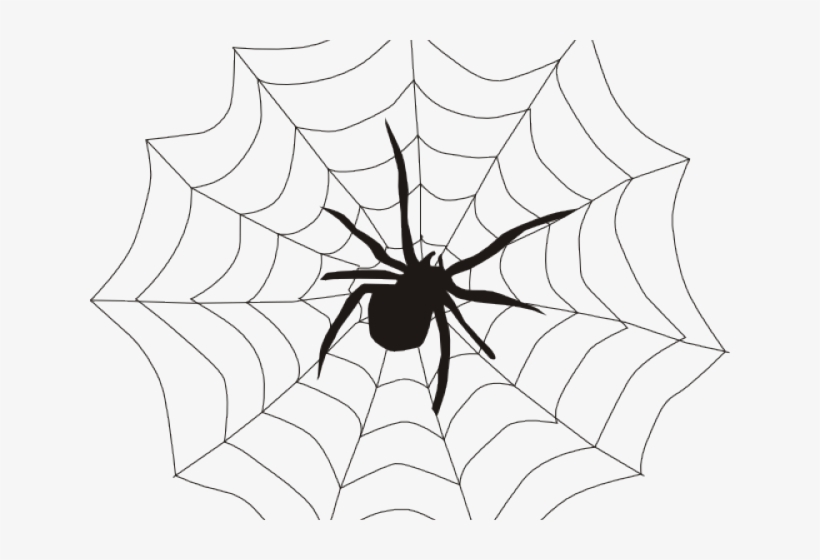 Web Clipart Spinder - Web Of A Spider, transparent png #1356866