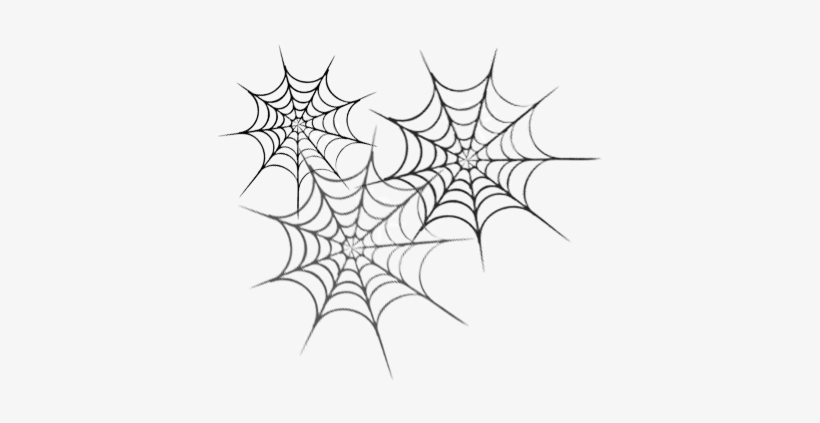 Activity 1 Make A Word Web - Spider Webs With Words, transparent png #1356956