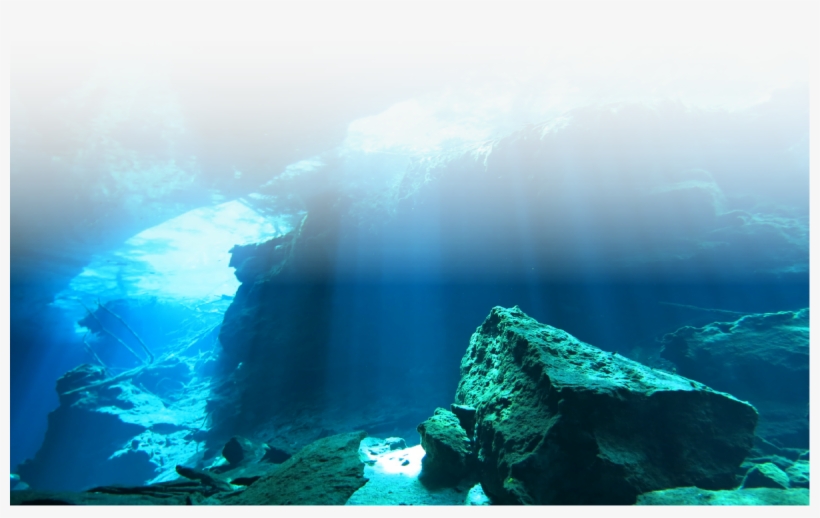 Png Black And White Library Ftestickers Sea Nature - Young Igi Nemo, transparent png #1357129