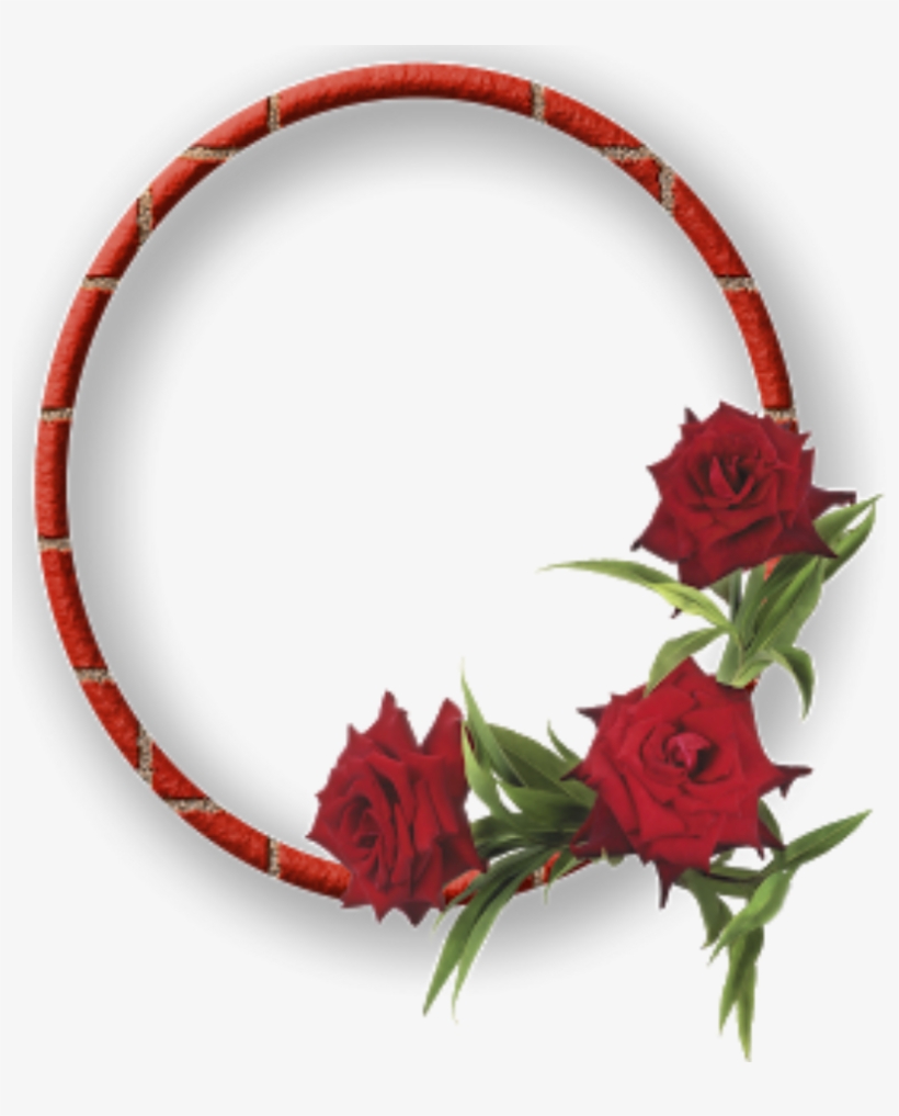 Mq Red Roses Frame Frames Border Borders Flowers - Garden Roses, transparent png #1357277