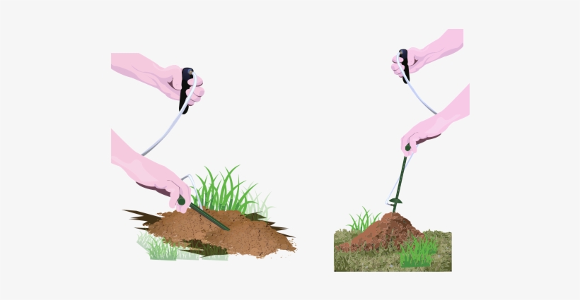 Out Of Extensive Research And Testing, Mole Zap And - Ant Mole, transparent png #1357359