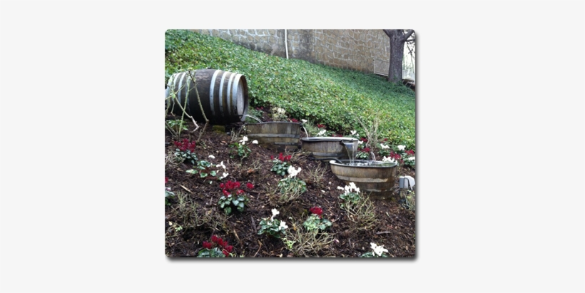 Wine Barrel Fountain - Western Wild Ginger, transparent png #1357383