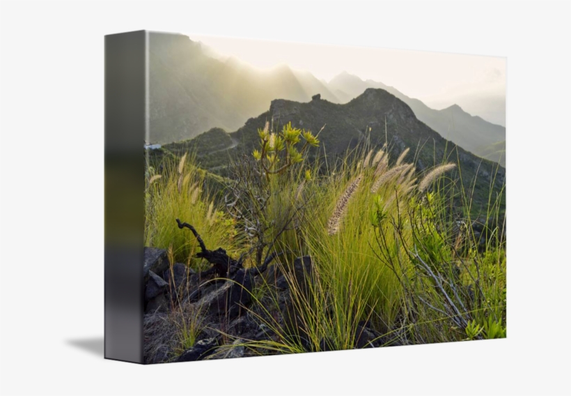 "island Of Eternal Spring" By Marek Stepan - Summit, transparent png #1357469