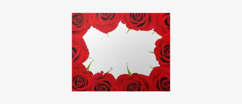 Vector - Free Transparent PNG Download - PNGkey