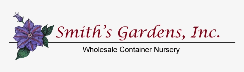 Including Fountain Grass, Japanese Silver Grass, And - Wildwood Landing Glamma Definition 12 X 12 Inch Decorative, transparent png #1357501