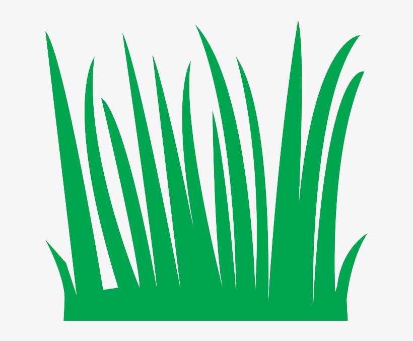 Sea Grass Clipart Tall - Grass Blades Cartoon, transparent png #1357536