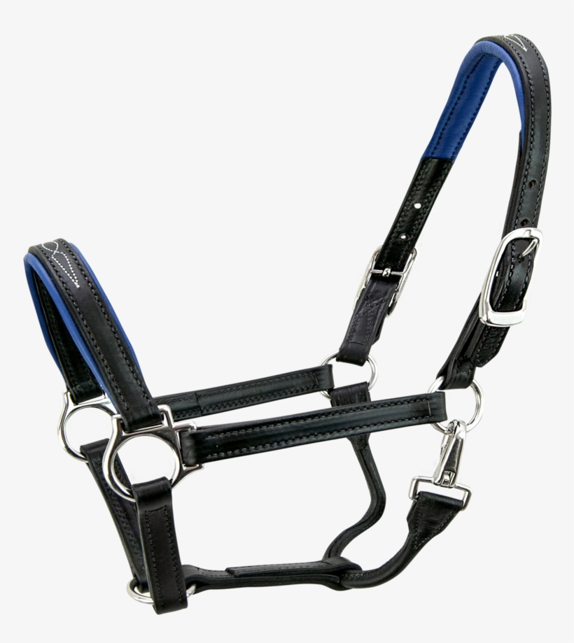 Signature Padded Horse Halter -s5000 - Horse, transparent png #1357585