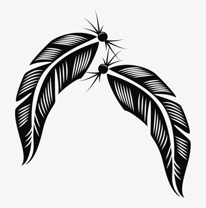 Download Feather Bird Description Plumage - Plumas Vector - Free ...