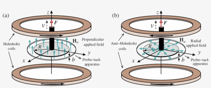 Color Online Schematic Representation Of The Probe-tack - Circle, transparent png #1357714
