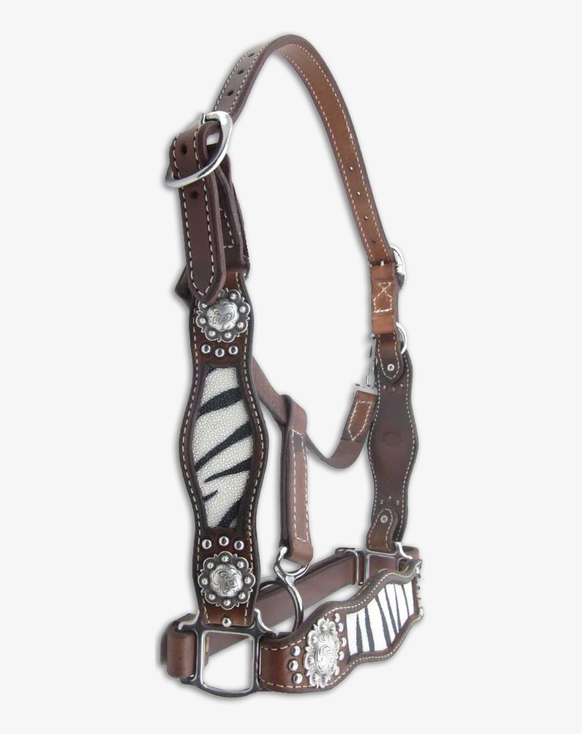 Horse Tack - Halter, transparent png #1357715