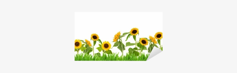 Sun Flower Garden Clip Art, transparent png #1357726