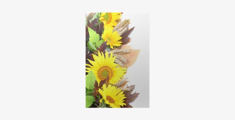 Photography, transparent png #1357852