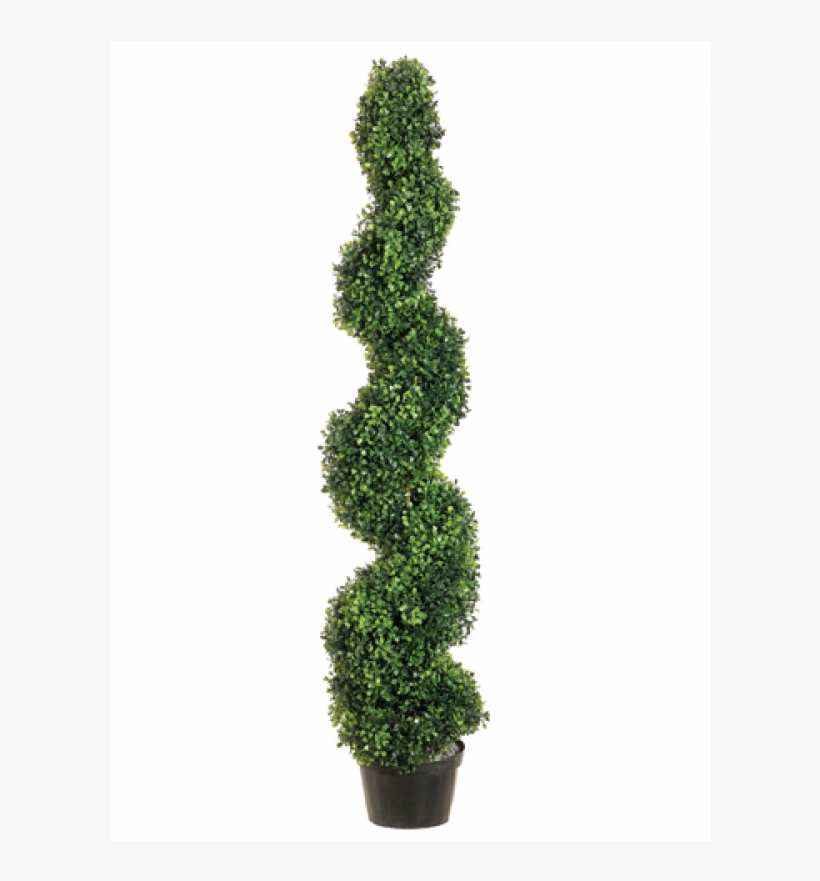 4' Boxwood Spiral Topiary In Plastic Pot Green - Silk Tree Warehouse One 4 Foot 2 Inch Outdoor Artificial, transparent png #1358380