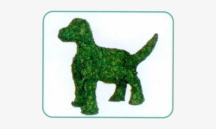 Instructions To Fill A Mini Topiary With Moss And A - Dog Topiary Png, transparent png #1358588
