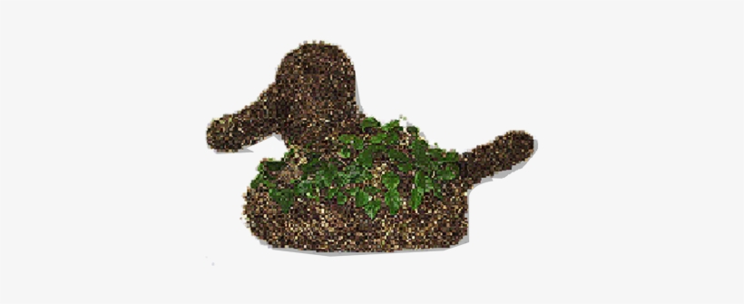 Duck Topiary Planted - Duck, transparent png #1358608