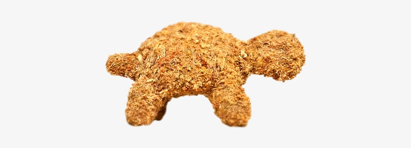 Small Turtle Topiary Stuffed - Turtle, transparent png #1358774