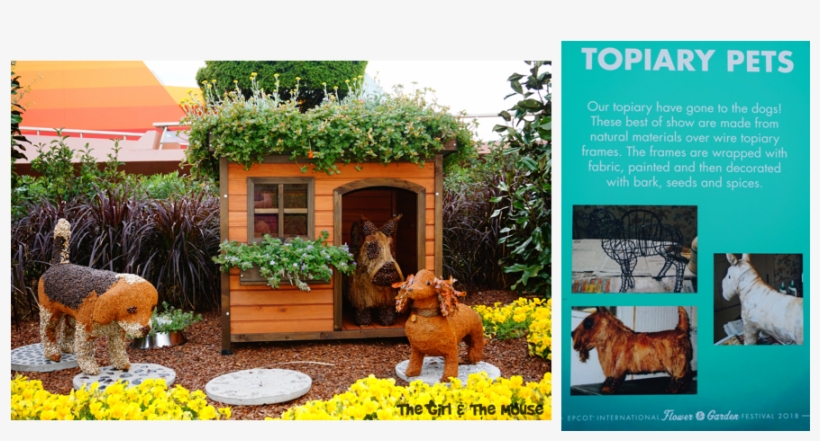 Epcot International Flower And Garden Festival Review - Yard, transparent png #1359100