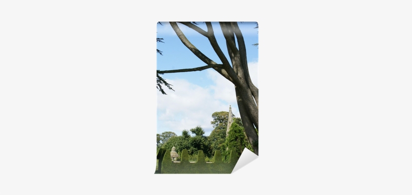 Tree - Topiary - Hedge - Decorative Yew Topiary Wall - Topiary, transparent png #1359140