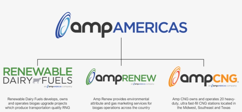 Amp Company Tree - Amp Americas, transparent png #1359316