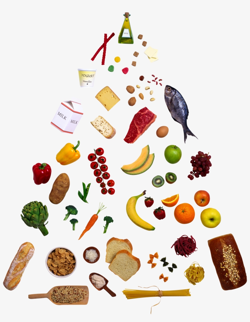 Banner Freeuse Library Clip Art Panda Free Images - Food Pyramid Clipart Png, transparent png #1359695