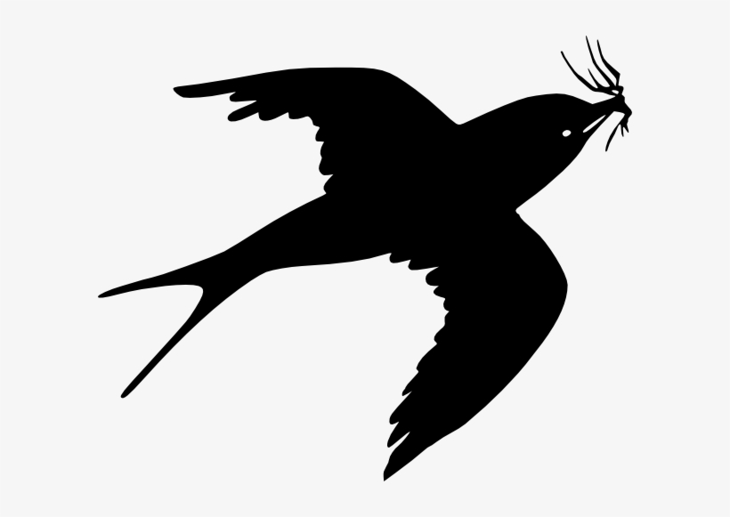 Sparrow - Black Sparrow Png, transparent png #1360227