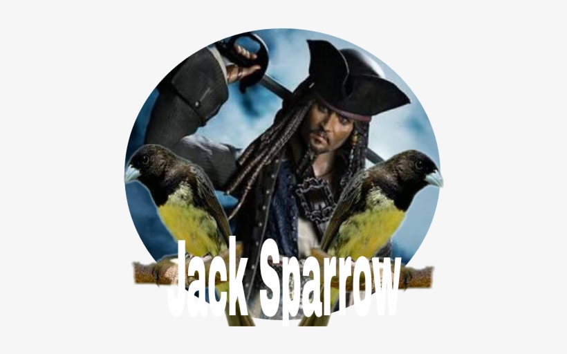 Sh Figuarts Pirates Of The Caribbean, transparent png #1360276