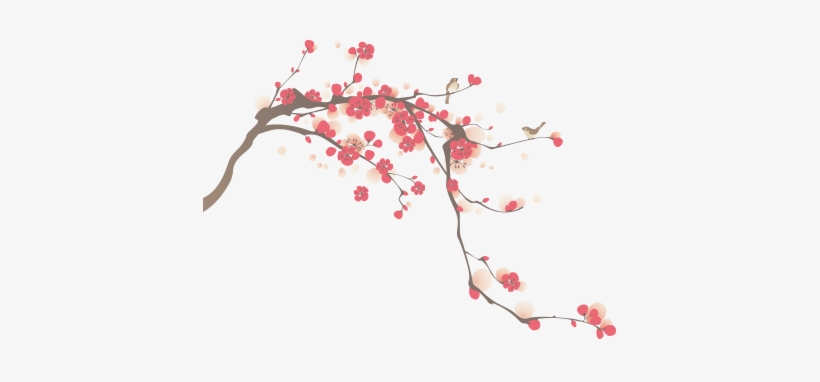 Img01 - Flor De Cerezo Dibujo, transparent png #1360581