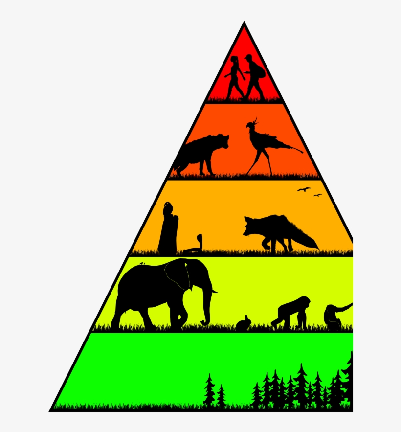 For The First Image Text Was Added After Being Given Biology Diagrams