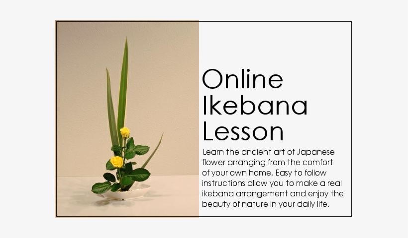 Japanese Flower Arrangement - Come True The First Thing, transparent png #1360920