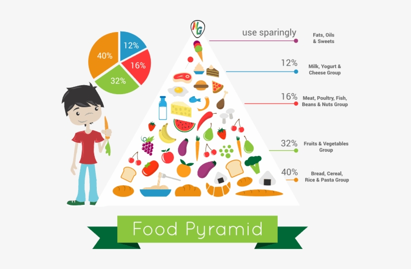 The Food Pyramid, Developed By The Us Department Of - Industry Segmentation For Food, transparent png #1361119