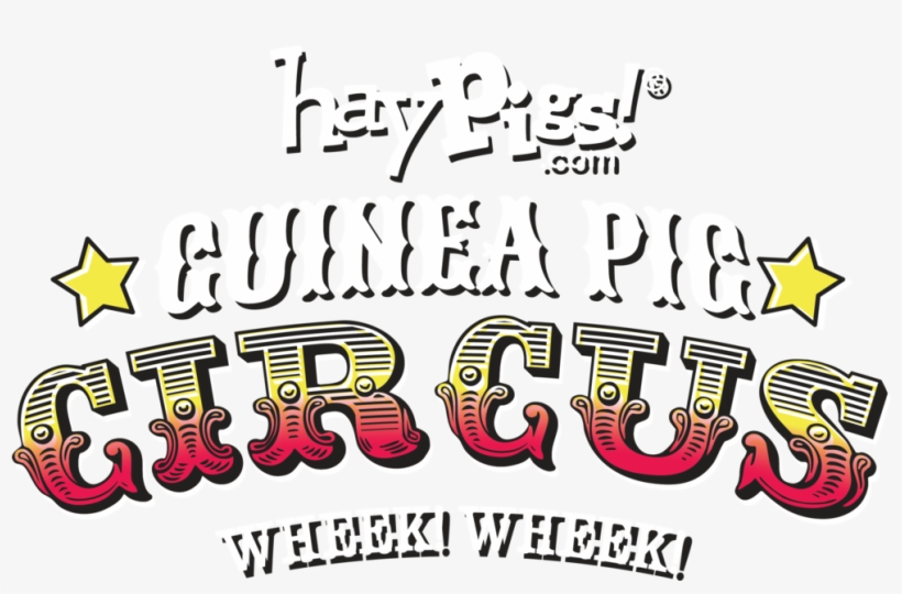 Title 2b, transparent png #1361139