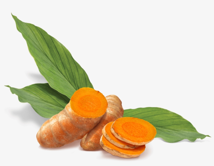 pics Turmeric Images Free Download superfood turmeric vector library stock