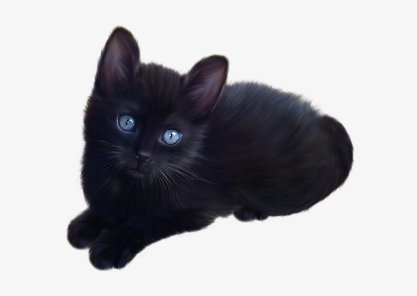 Tube Chat - Black Kitten Transparent Background, transparent png #1363659