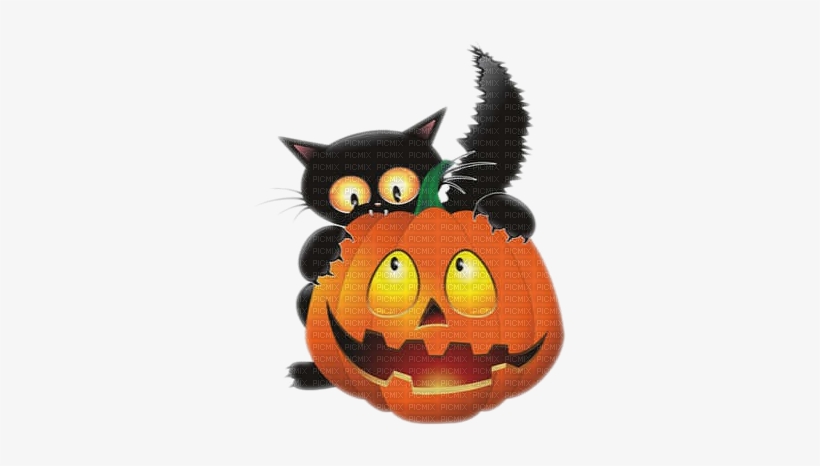 Black Cat Halloween Pumpkin Chat Noir - Halloween Black Cat, transparent png #1364226