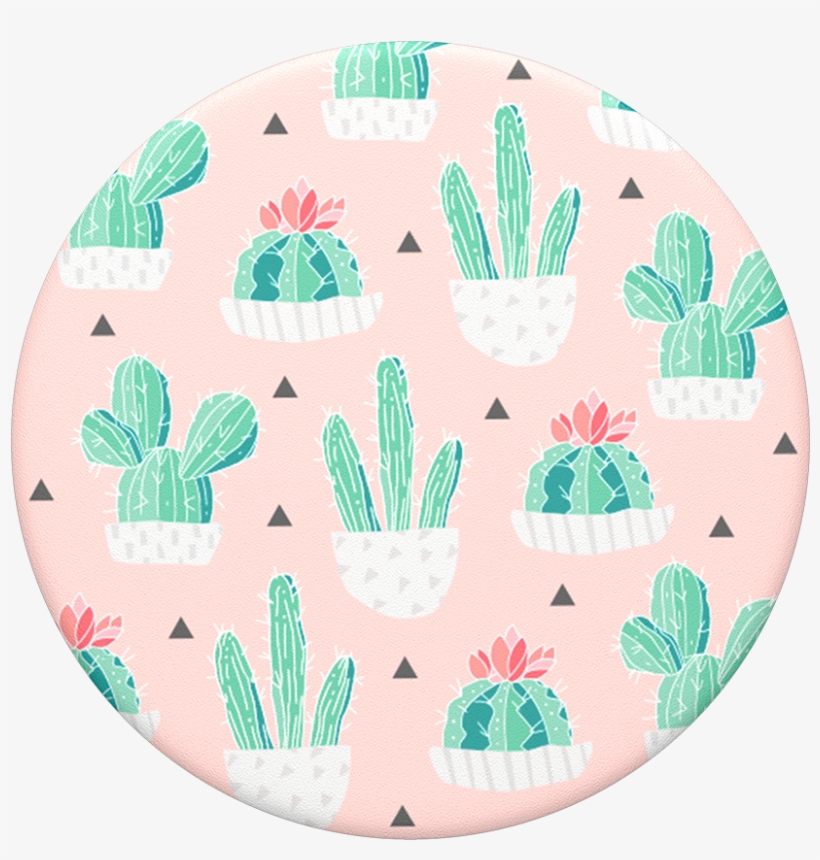 Cactus Pot, transparent png #1364997