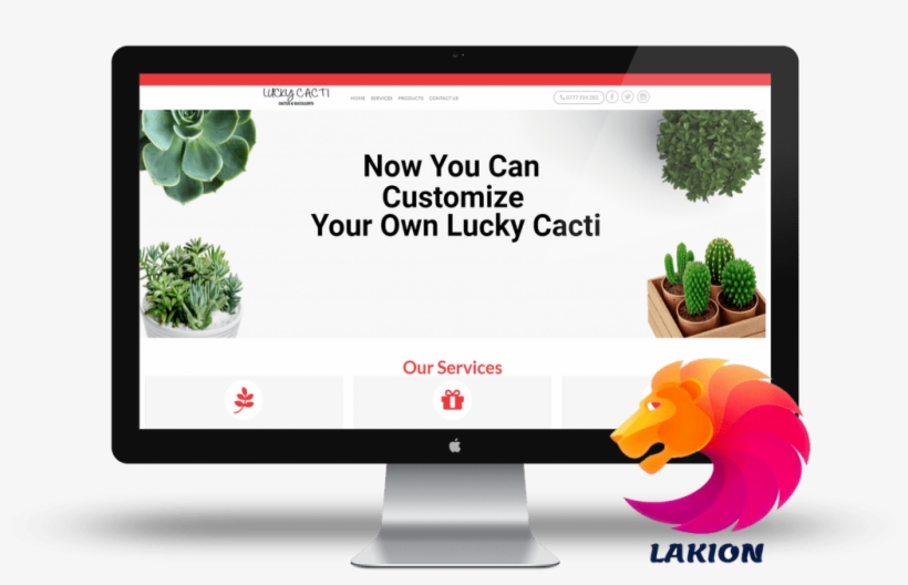 Indoor Cactus Plants For Offices, Homes, And Hotels - Cartoon, transparent png #1365309