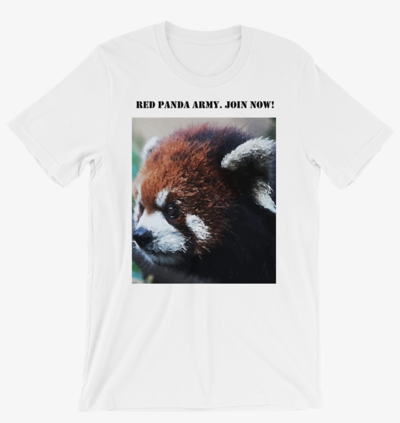 Red Panda Army - Red Panda, transparent png #1365764