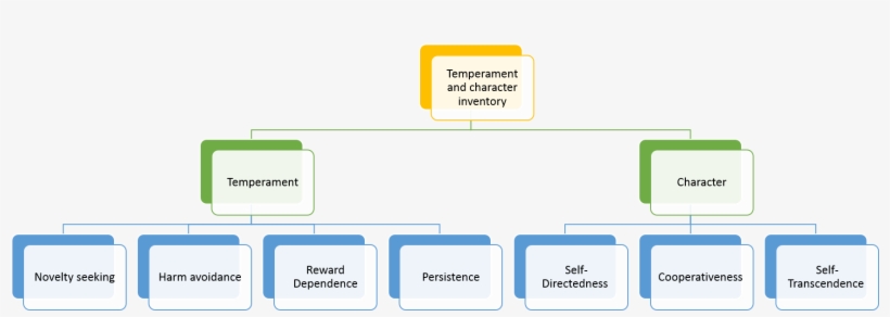 Temperament And Character Inventory - Scope Of Management Audit, transparent png #1365798