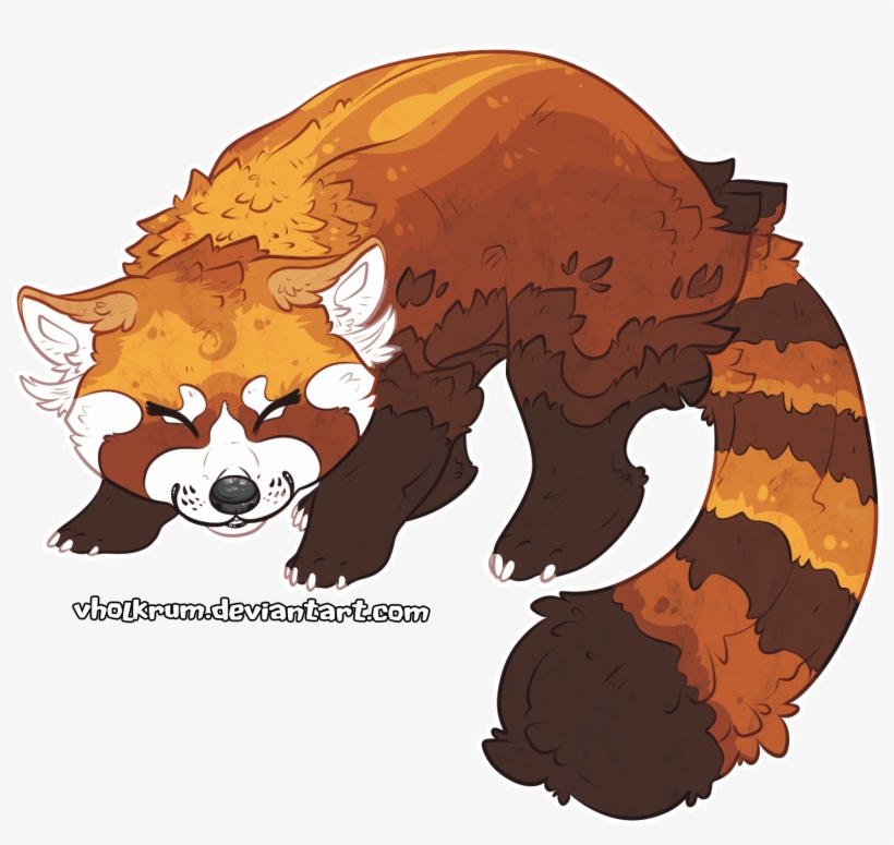 Red Panda - Cartoon, transparent png #1365799