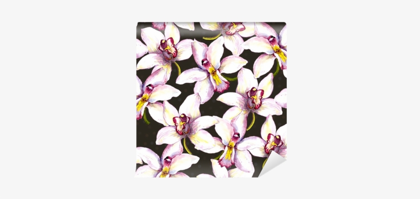 Seamless Floral Background With White Orchid Flower - Drawing, transparent png #1366197