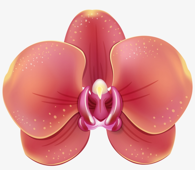 Free Png Red Orchid Png Images Transparent - Orchids Clipart Png, transparent png #1366242