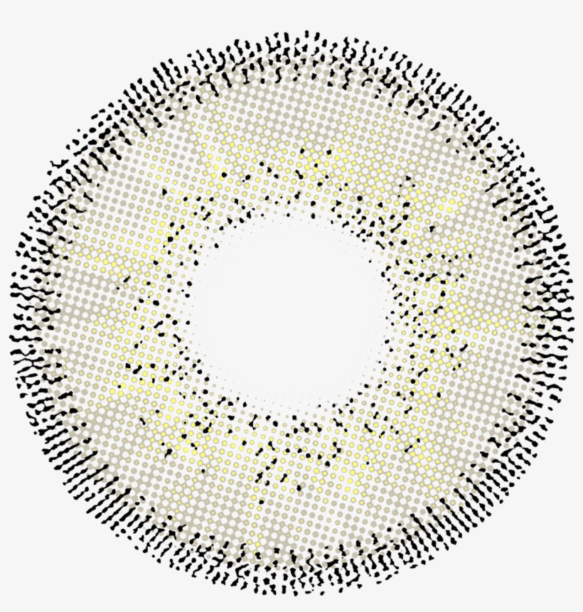 Fairy Hydro Grey - Grey, transparent png #1366293