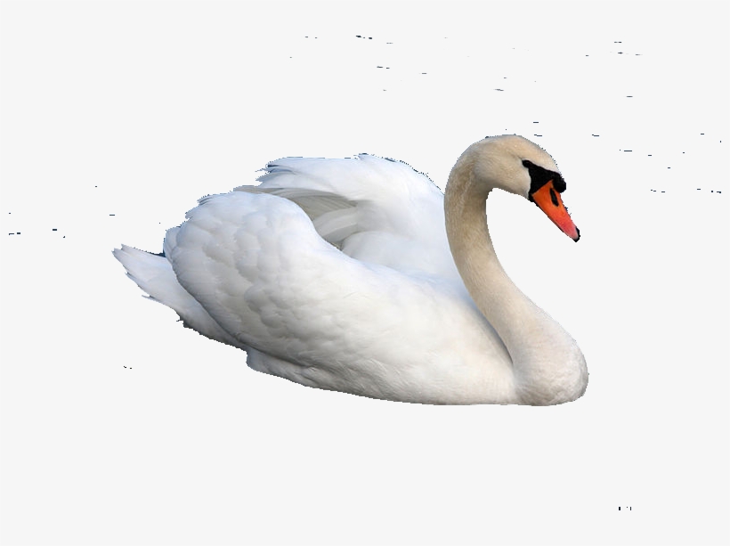 About - Hamsa Images Png, transparent png #1366696