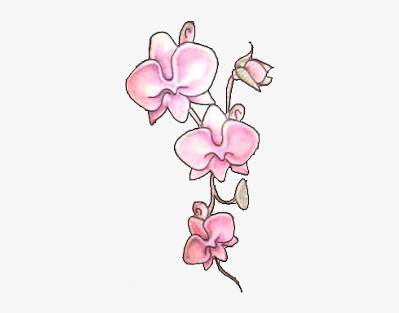 Pink Orchid Flowers Tattoos Design - Tattoo, transparent png #1366771