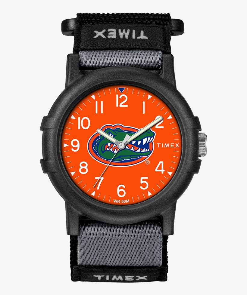 Recruit Florida Gators - Timex Indiglo Expedition Camper T49713 Watch, transparent png #1367286