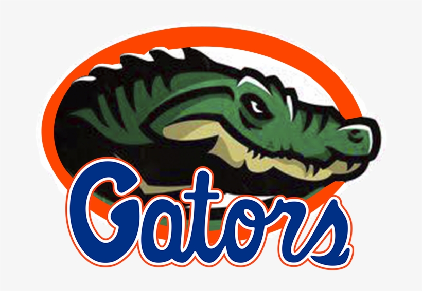 Florida Gators - Illustration, transparent png #1367372